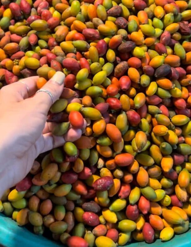 Denpasar Night Market Food Tour - Practical Details