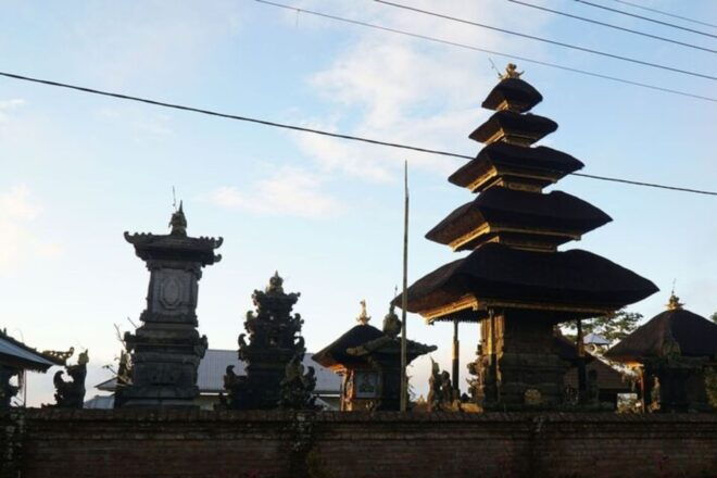 Denpasar: Private Custom Tour With a Local Guide - Benefits of the Tour