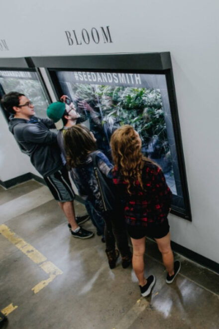 Denver: Buds & Brews Cannabis Grow Tour and Brewery Visit - Tour Inclusions