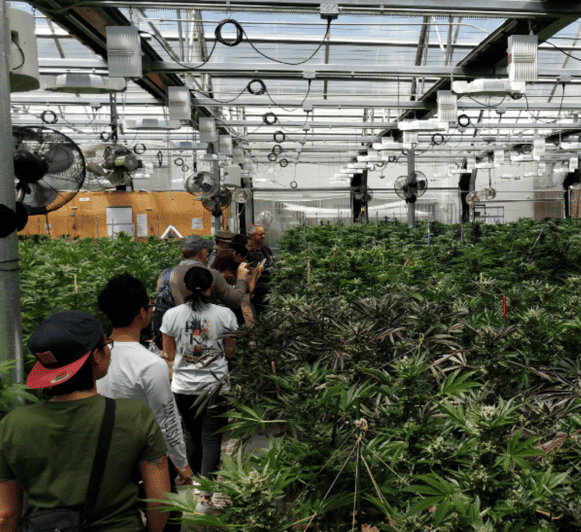 Denver: Buds & Brews Cannabis Grow Tour and Brewery Visit - Enjoying the Brewery Experience
