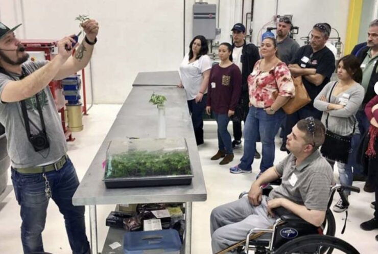 Denver: Cannabis Tour With Grow Facility Access - Good To Know