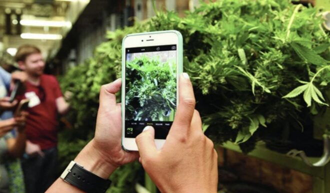 Denver: Cannabis Tour With Grow Facility Access - Inclusions