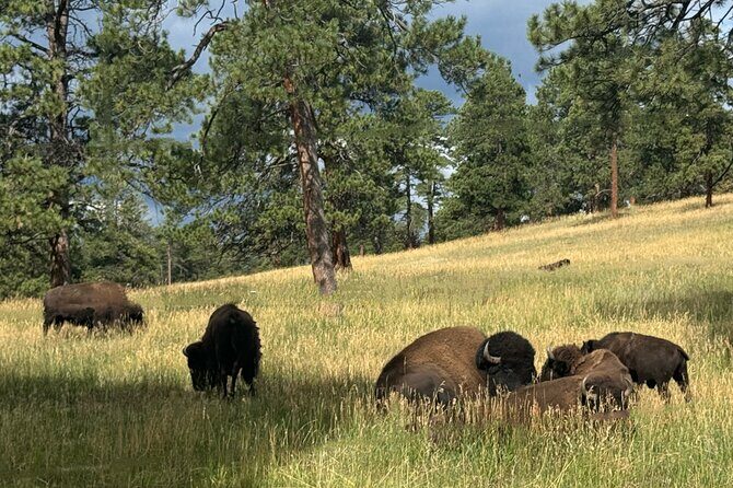 Denver, Golden, Lookout Mountain - The Sum Up