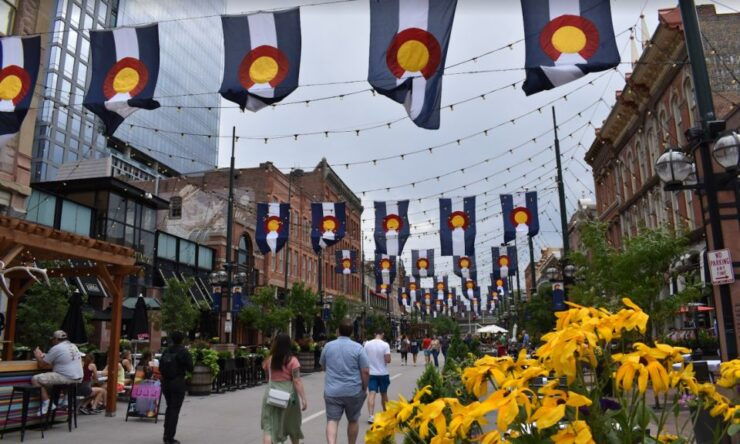 Denver: Guided City Driving Tour - Activity Details