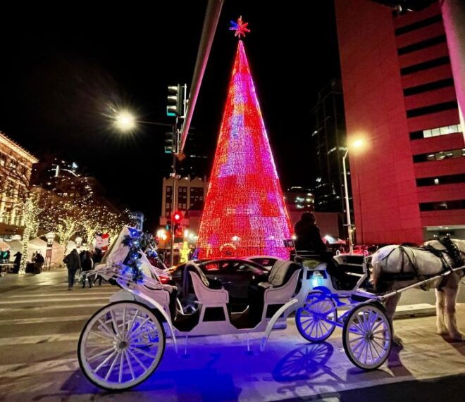Denver: Holiday Lights & History Walking Tour - Tour Highlights and Description