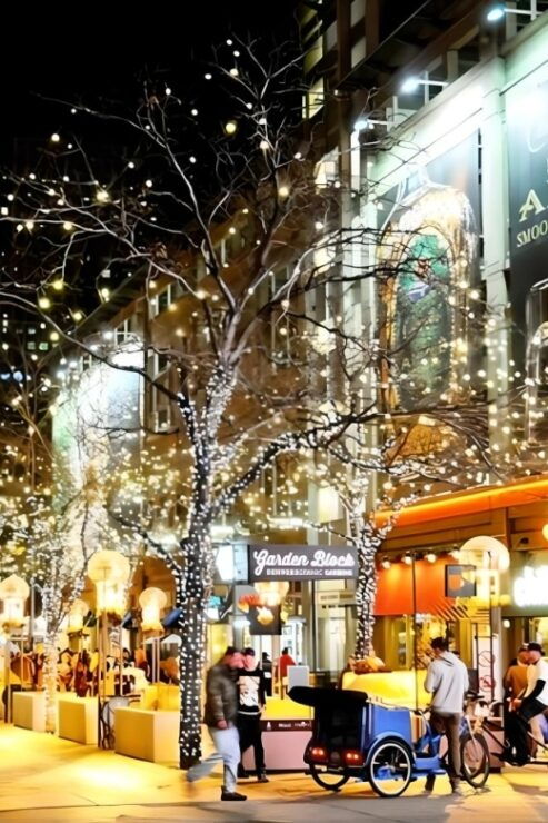 Denver Holiday Lights & Sights Bus Tour - Activity Duration