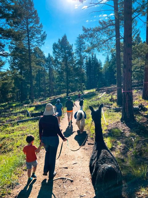 Denver: Llama Hike in the Rocky Mountains - Activity Highlights