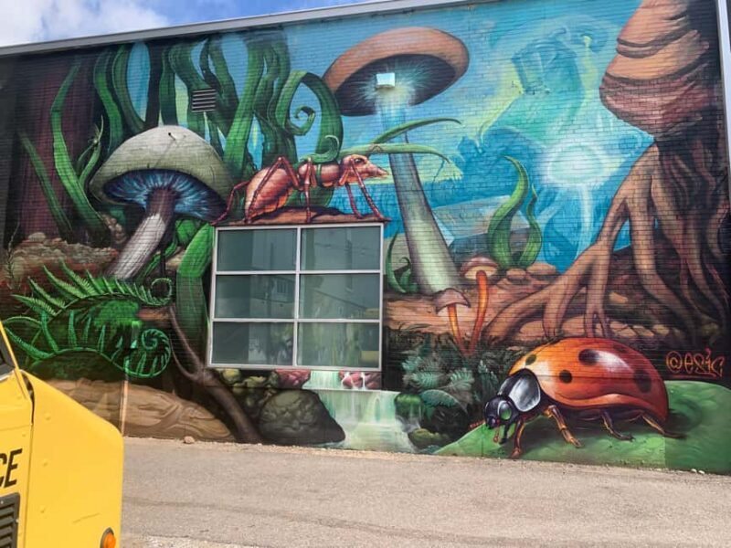 Denver: North RiNo Art District Graffiti and Street Art Tour - Practical Details and Tips