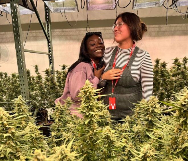 Denver: Private Luxury Cannabis Tour - Highlights