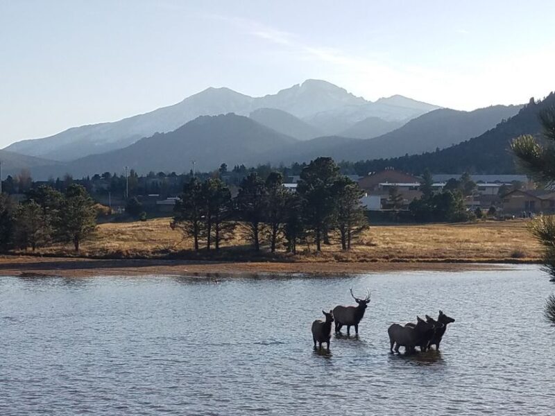 Denver: Rocky Mountain National Park Tour with Picnic Lunch - The Travel Logistics: Comfort and Convenience