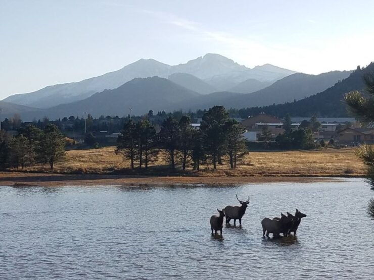 Denver: Rocky Mountain National Park Tour With Picnic Lunch - Tour Experience
