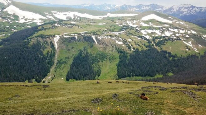 Denver: Rocky Mountain National Park Tour With Picnic Lunch - Important Information