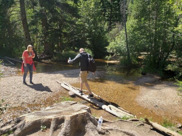 Denver: Rocky Mountain National Park Tour With Picnic Lunch - The Sum Up