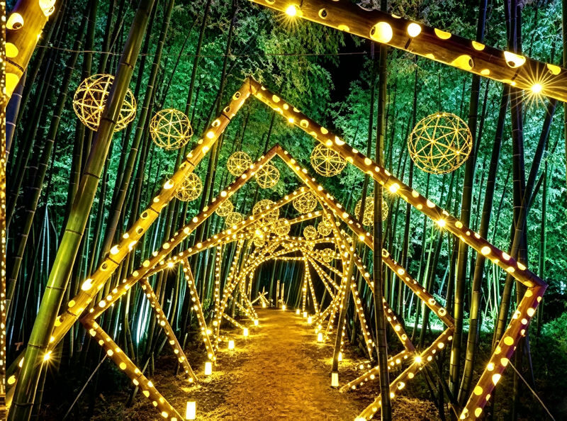 Depart at noon Arashiyama Moon Lantern Festival Limited | Kyoto Fushimi Inari Shrine & Nara Park Day Trip (Small Group with Driver-Guide, Optional Hotel Pickup) - Nara Park: one hour with the deer