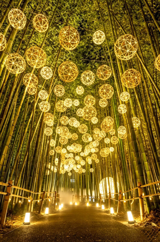 Depart at noon Arashiyama Moon Lantern Festival Limited | Kyoto Fushimi Inari Shrine & Nara Park Day Trip (Small Group with Driver-Guide, Optional Hotel Pickup) - Arashiyama after dark: the main event