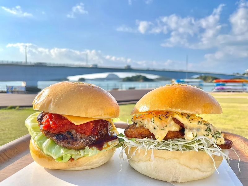 Depart from Kumamoto: Amakusa Wild Dolphin Watching and Juicy Burger Set - At a glance