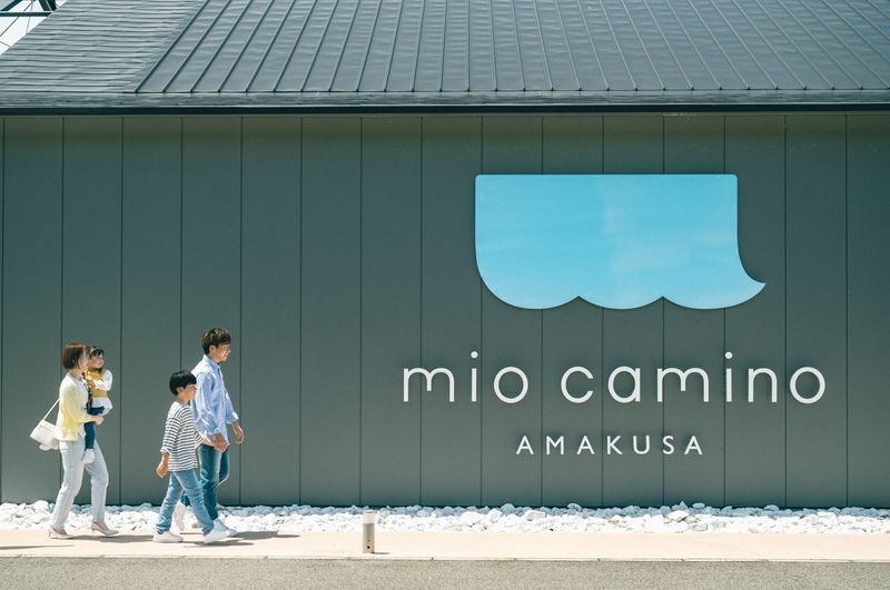 Depart from Kumamoto: Amakusa Wild Dolphin Watching and Juicy Burger Set - Making the return connection