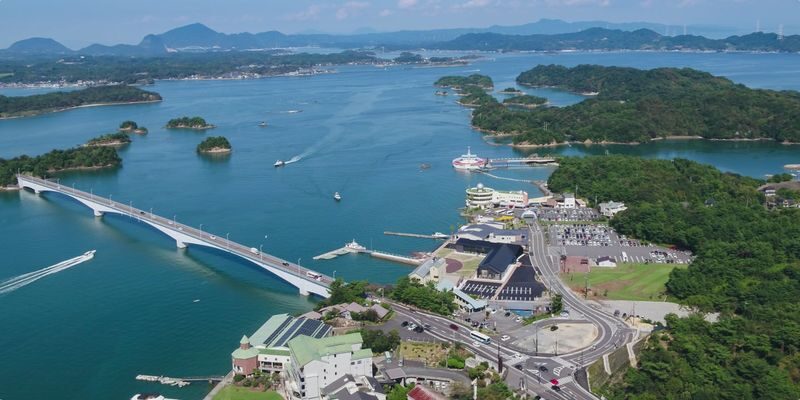 Depart from Kumamoto: Amakusa Wild Dolphin Watching and Juicy Burger Set - Should you book it?