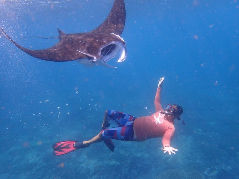 (Depart From Lembongan) 3 Spots Snorkeling Experience in Nusa Penida - What to know before you book