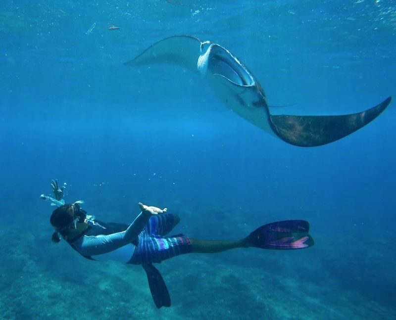 (Depart From Lembongan) 3 Spots Snorkeling Experience in Nusa Penida - Three stops, three different chances to see the sea