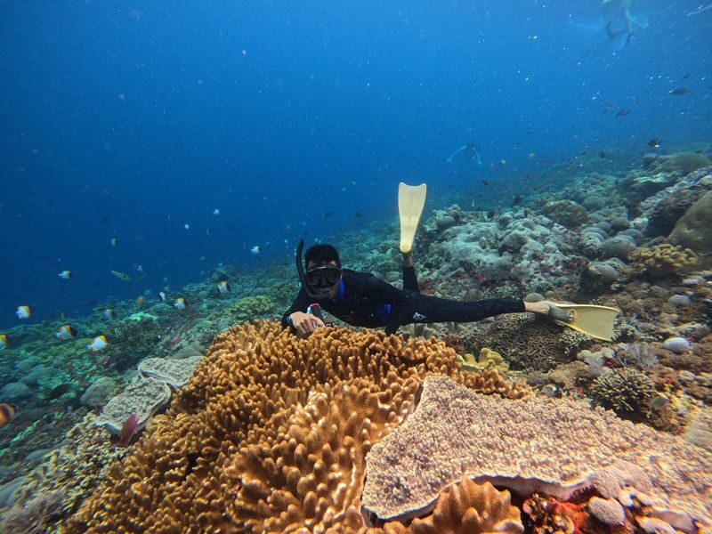 (Depart From Lembongan) 3 Spots Snorkeling Experience in Nusa Penida - Getting to Lembongan and planning your day