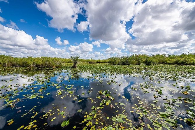 Depart From Miami to Discover the Everglades With Airboat Tour Included! - Pricing and Booking