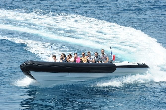 Depart Saint Raphaël: Meet the Dolphins - Witness the Beauty of These Majestic Creatures