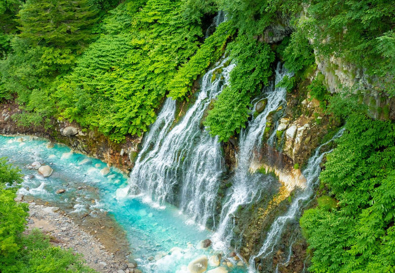 Departing at 11:00: Blue Pond Illumination & Ningle Terrace & Christmas Tree & Shirogane Blue Pond & Shikisai-no-Oka One-Day Tour | Departing from Sapporo - Who should book this day out?