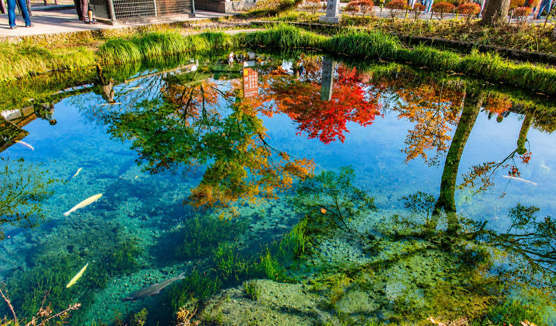 Departing Daily from Tokyo: Mount Fuji 5th Station, Lake Kawaguchi, Oshino Hakkai & Gotemba Premium Outlets 1-Day Tour (Optional Japanese Lunch) - Lake Kawaguchi: a scenic pause, if time allows