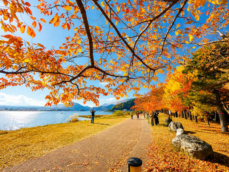 Departing Daily from Tokyo: Mount Fuji 5th Station, Lake Kawaguchi, Oshino Hakkai & Gotemba Premium Outlets 1-Day Tour (Optional Japanese Lunch) - Who should book this tour?