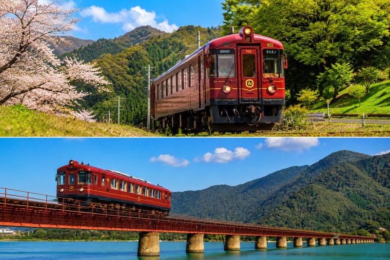Departing from Kyoto: Coastal Hidden Gems Day Trip - Amanohashidate Scenic View, Ine Boat Houses, and the Kyoto Tango Railway - The Kyoto Tango Railway adds a change of pace