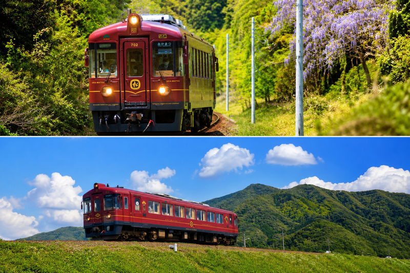 Departing from Kyoto: Coastal Hidden Gems Day Trip - Amanohashidate Scenic View, Ine Boat Houses, and the Kyoto Tango Railway - What the guide and driver add