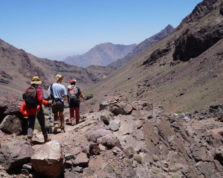 Departing From Marrakech: 3-Day Trekking to Climb Mount Toub - Booking Details and Flexibility