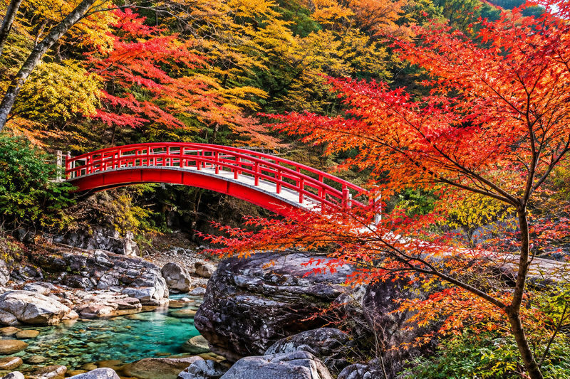 Departing from Nagoya: Chubu Shoryudo - Tsumago-juku & Magome-juku & Ryujin Waterfall Tour - Three stops, one long day from Nagoya