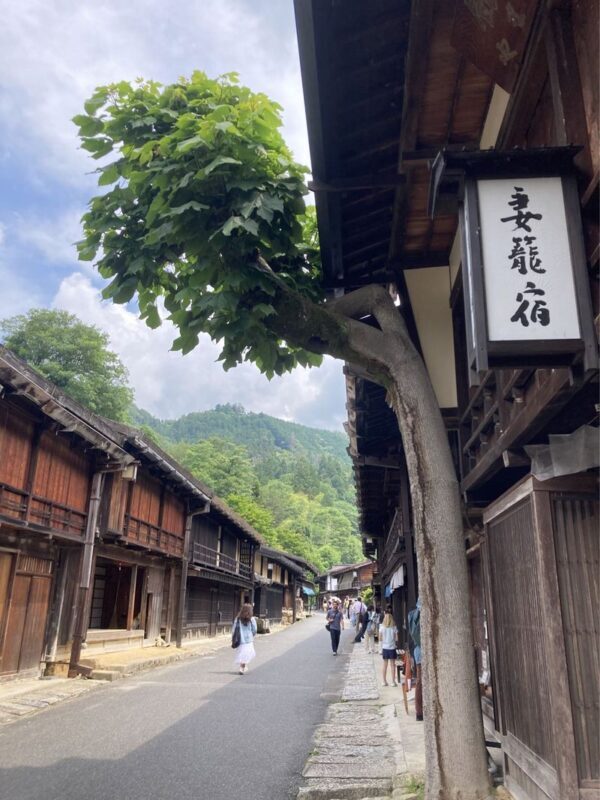 Departing from Nagoya: Chubu Shoryudo - Tsumago-juku & Magome-juku & Ryujin Waterfall Tour - Small preparations that make the day easier