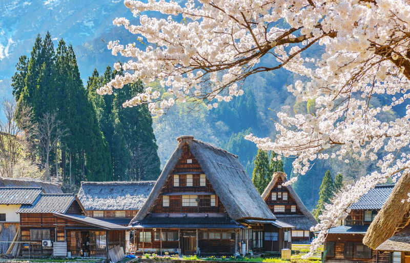 Departing from Nagoya: Hida Takayama & Shirakawa-go Gassho-zukuri Village Day Trip - Key points to know before you book