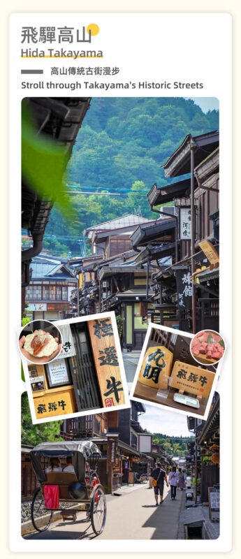 Departing from Nagoya: Hida Takayama & Shirakawa-go Gassho-zukuri Village Day Trip - How the guide and vehicle affect the day