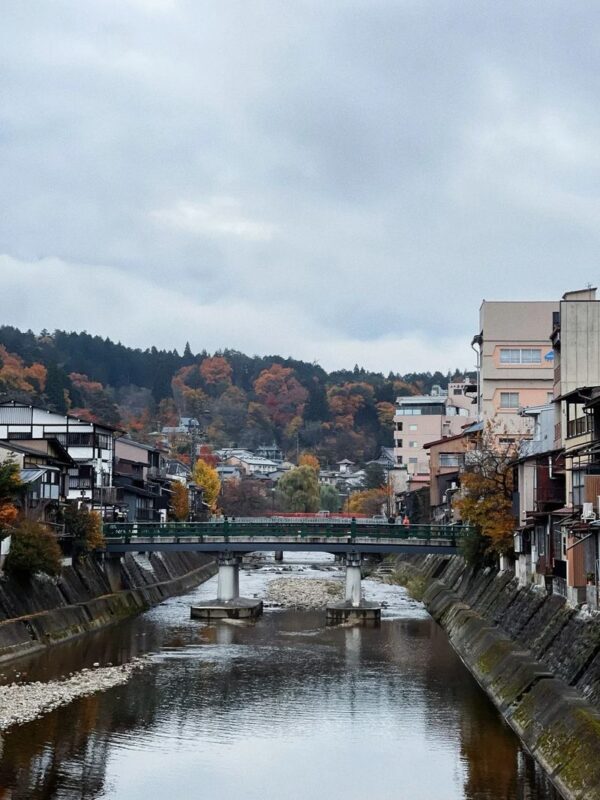 Departing from Nagoya-Takayama Old Town + Shirakawa-go Illumination (excluding observation deck) - Shirakawa-go before the lights come on