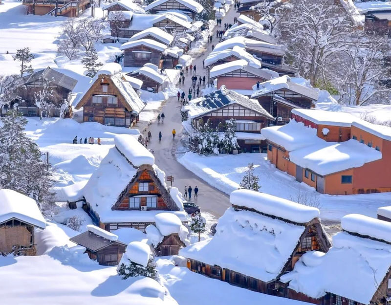 Departing from Nagoya-Takayama Old Town + Shirakawa-go Illumination (excluding observation deck) - A driver-led outing, not a deep guided tour