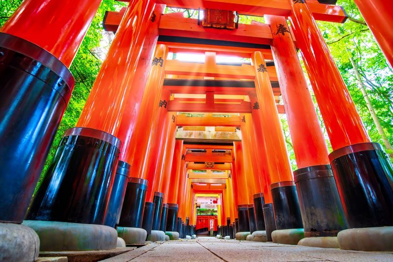 Departing from Osaka: Fushimi Inari Shrines Senbon Torii, Nara Park, Todai-ji Temple, Tsubosaka-dera Temples Hidden Gem / Yoshino Mountain Autumn Leaves One-Day Tour - What this Osaka day trip is really offering
