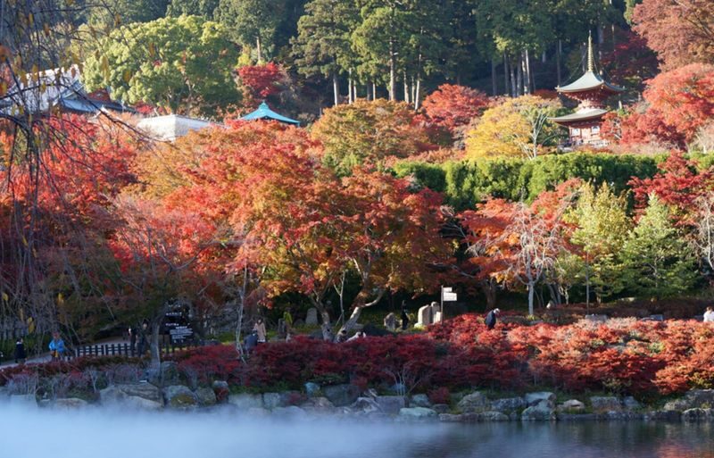 (Departing from Osaka) Katsuo-ji Temple Daruma Prayer + Miyama Thatched Village + Kyoto Arashiyama Bamboo Forest + Nonomiya Shrine One-Day Tour - Three distinct stops, one ambitious day