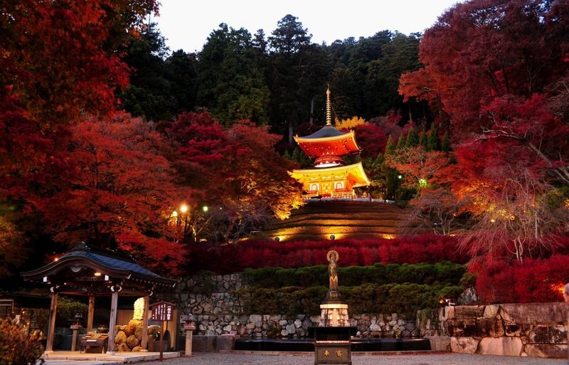 (Departing from Osaka) Katsuo-ji Temple Daruma Prayer + Miyama Thatched Village + Kyoto Arashiyama Bamboo Forest + Nonomiya Shrine One-Day Tour - Miyama: a country village in a 45-minute window