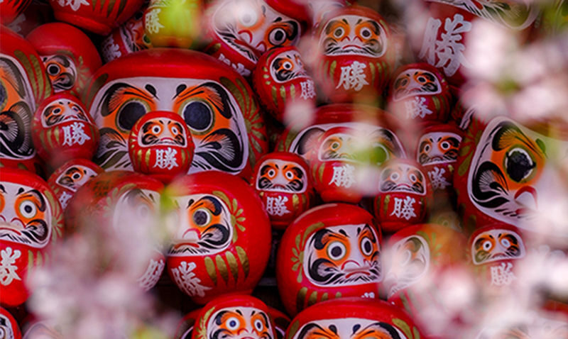 (Departing from Osaka) Katsuo-ji Temple Daruma Prayer + Miyama Thatched Village + Kyoto Arashiyama Bamboo Forest + Nonomiya Shrine One-Day Tour - Should you book?