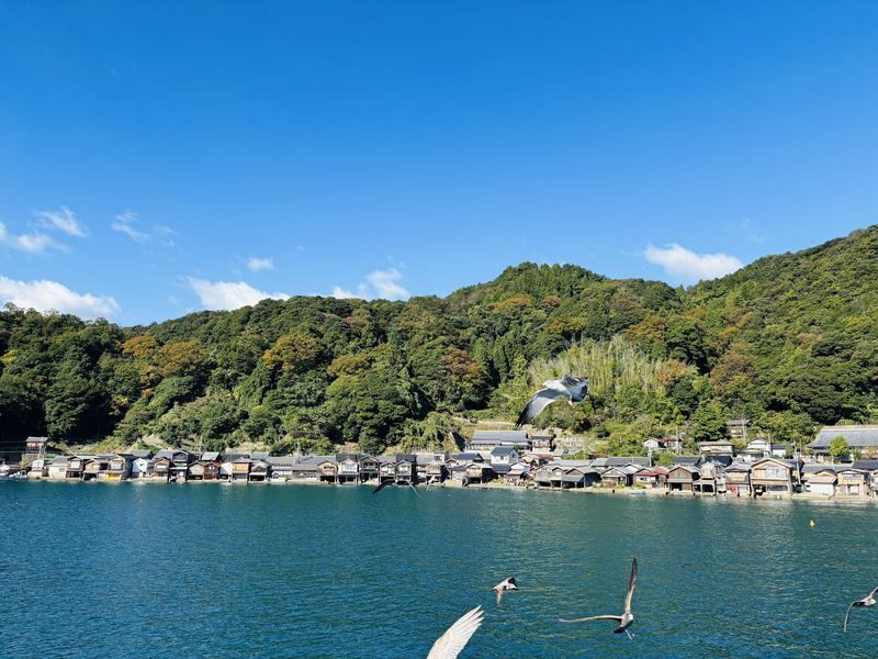 (Departing from Osaka/Kyoto) Kyoto by the Sea Day Trip: Amanohashidate, Ine Funaya, Ine Bay Boat Tour, Chionji Temple, Optional Tango Sea Train - A short walk through Ine’s funaya village