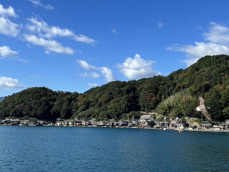 (Departing from Osaka/Kyoto) Kyoto by the Sea Day Trip: Amanohashidate, Ine Funaya, Ine Bay Boat Tour, Chionji Temple, Optional Tango Sea Train - Lunch, package choices, and the real cost