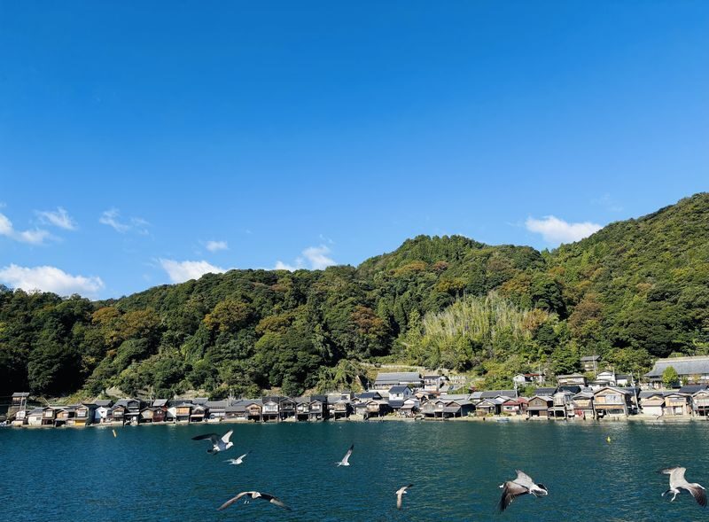 (Departing from Osaka/Kyoto) Kyoto by the Sea Day Trip: Amanohashidate, Ine Funaya, Ine Bay Boat Tour, Chionji Temple, Optional Tango Sea Train - Chionji Temple before the ride back