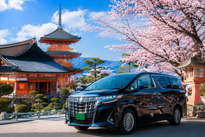 Departing from Osaka/Kyoto: Kyoto/Nara/Osaka Enjoy a flexible and customized chartered car day trip in Kansai - Key points to know before booking