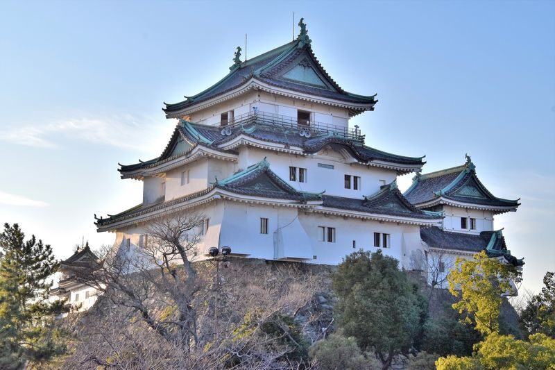 Departing from Osaka Namba: Wakayama Shirahama One-Day Tour: Wakayama Castle-Toretore Market-Shirahama Beach-Sandanbeki Cliffs-Senjojiki - A full Wakayama day, without the transport puzzle
