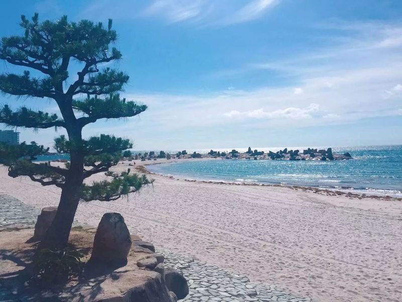 Departing from Osaka Namba: Wakayama Shirahama One-Day Tour: Wakayama Castle-Toretore Market-Shirahama Beach-Sandanbeki Cliffs-Senjojiki - Sandanbeki: sea-cut cliffs and an optional cave