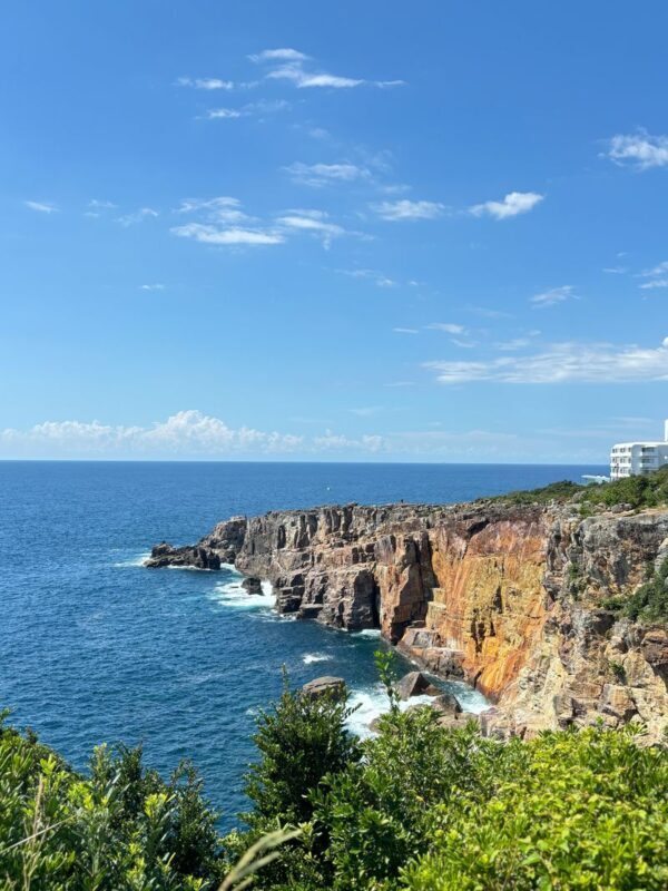 Departing from Osaka Namba: Wakayama Shirahama One-Day Tour: Wakayama Castle-Toretore Market-Shirahama Beach-Sandanbeki Cliffs-Senjojiki - The bus, guide and pace